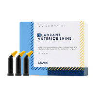 Quadrant Anterior Shine Kapseln 20x0,25g