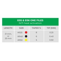 E06 NiTi One Feilen Silber Reziprok I 6 Stück
